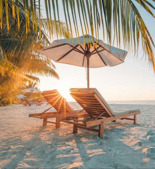 Erfurt REISEBÜRO Wache: an der Nordhäuser Straße und REISEBÜRO Wache - TEC Erfurt; Symbolbild: zwei Holz-Liegestühle unter Palmen am Strand bei tiefstehender Sonne