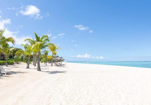 kreuzfahrt mauritius buchen, nicko cruises, bei REISEBÜRO Wache Erfurt; Bild: links Palmen, mittig ein feiner, heller Sand, rechts das türkisfarbene Meer, viel hellblauer Himmel, wenige Wölkchen